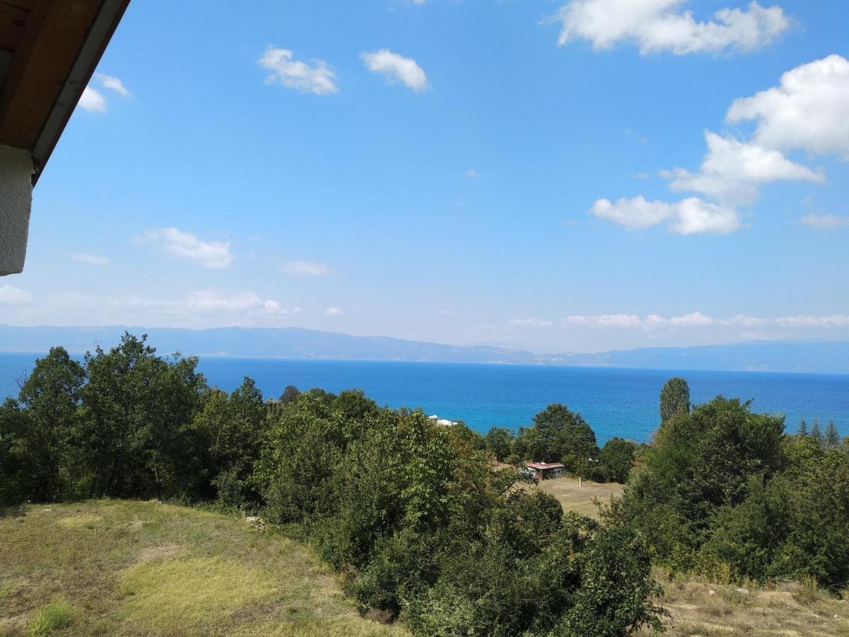 The Brothers Villa Hotel Охрид Екстериор снимка